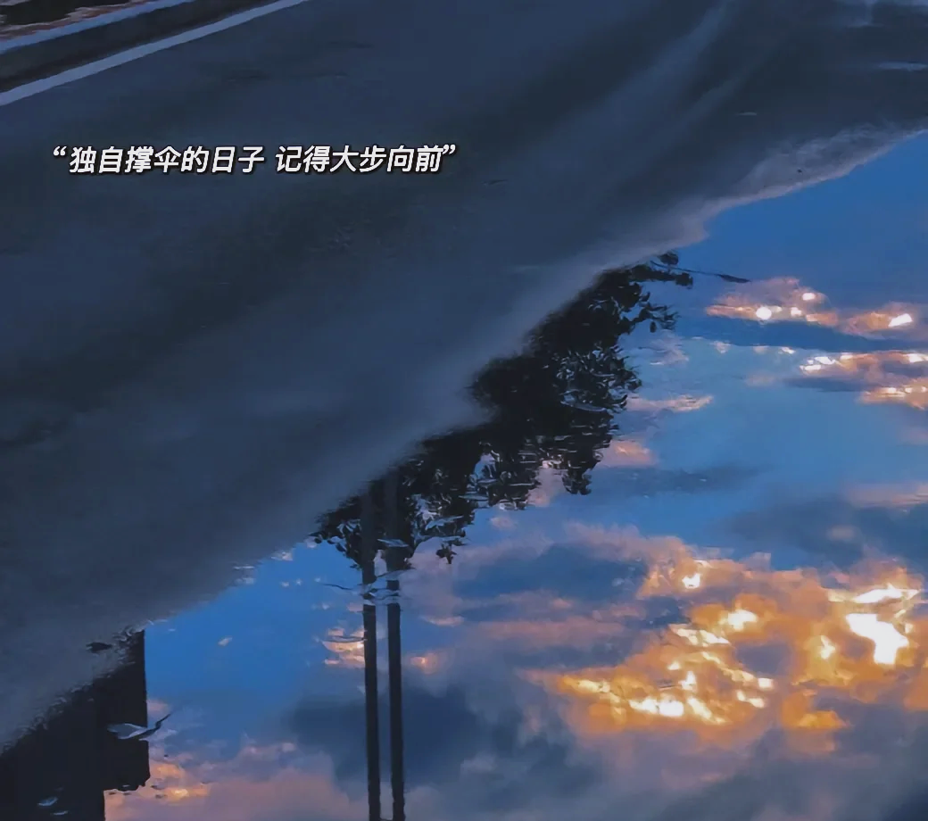 赛场外：粉丝的爱情故事与支持力量的简单介绍