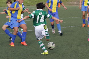 爱游戏官方-国家体育场运营中心发布暑期开放时间公告，国家体育场百度百科