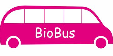 爱游戏体育app-意甲联赛的绿色可持续发展，意甲联赛啥意思